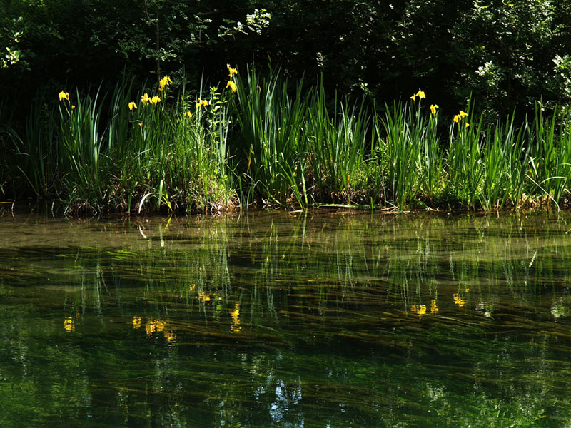 provencalische Flusslandschaft 3