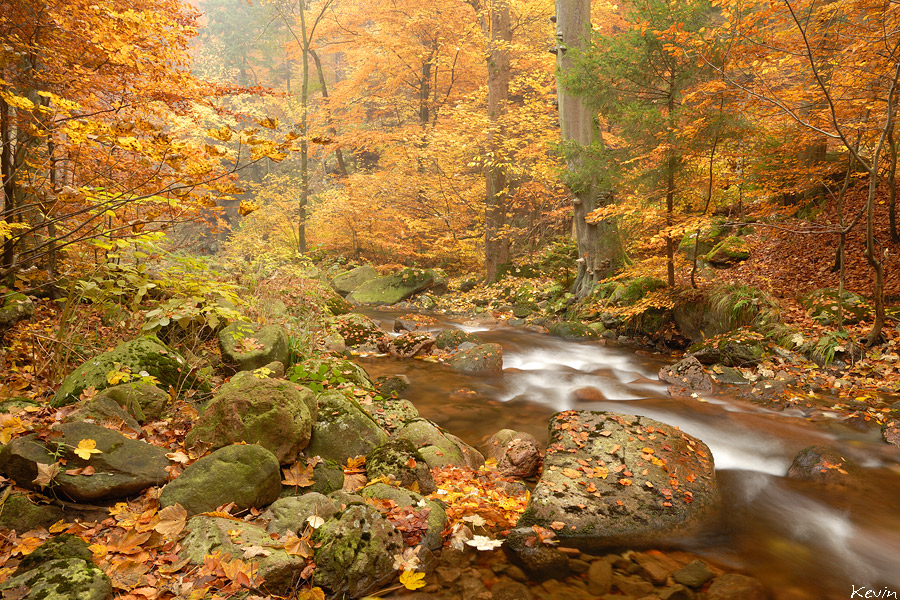 Herbst im Ilsetal II