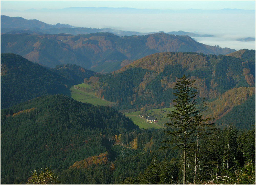 Herbstlicher Schwarzwald