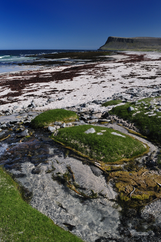 Quizz - weißer Sand an welchem Strand?