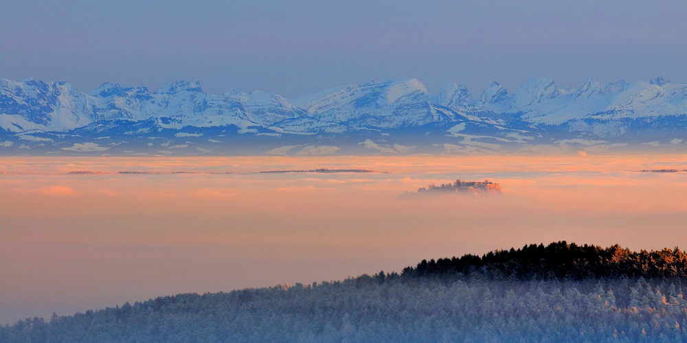~ Nebel über dem Bodensee ~