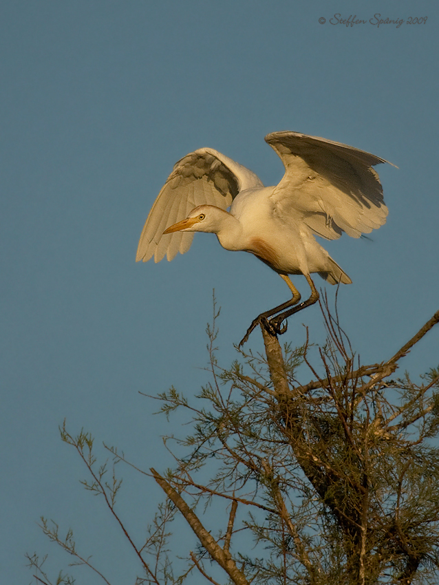 "Abflug im Abendlicht"