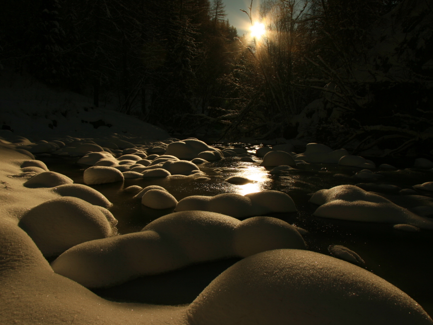 Verschneiter Wildbach