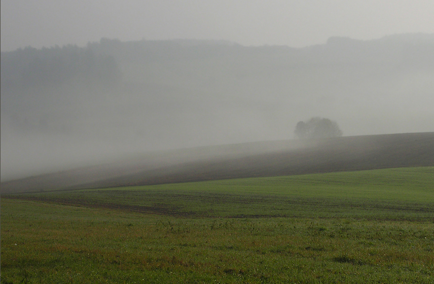 Dicke Suppe