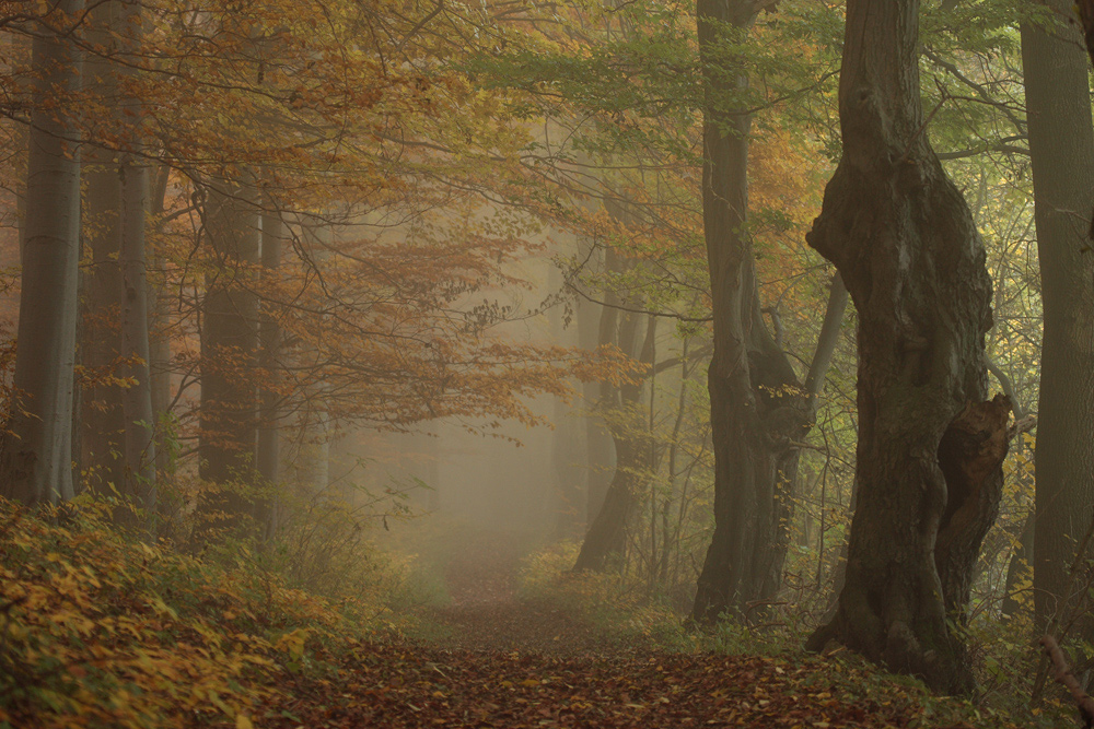 Blackjack gegen freunde