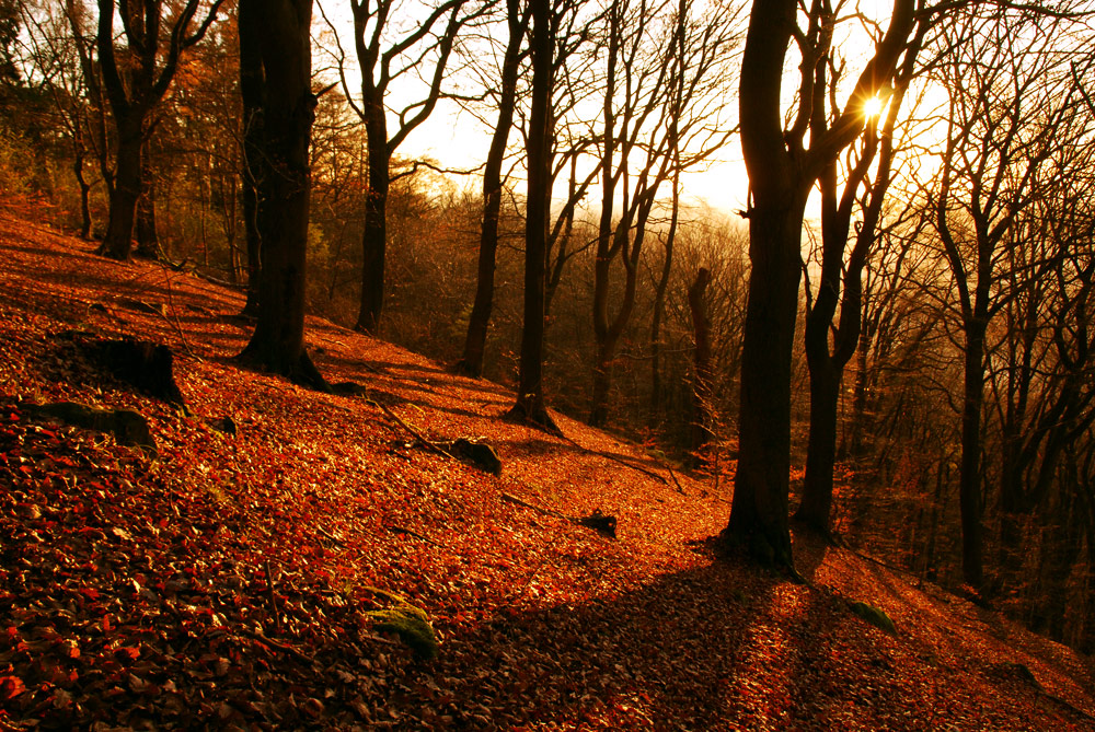 Marburg im Herbst
