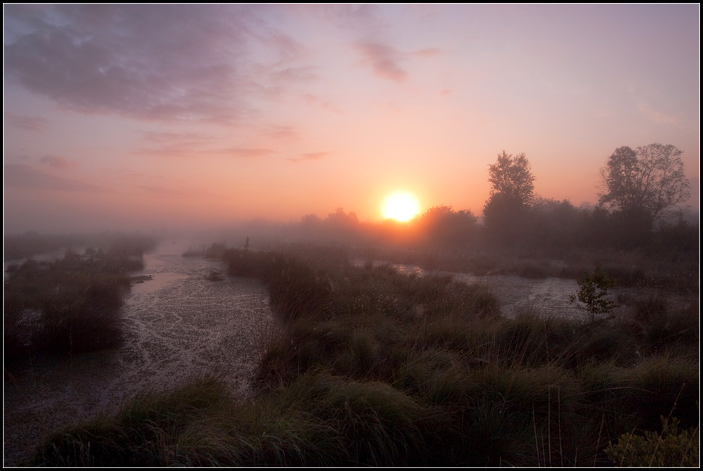 Verwunschenes Moor