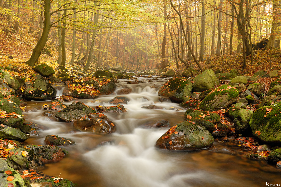Ilse (Forum für Naturfotografen)