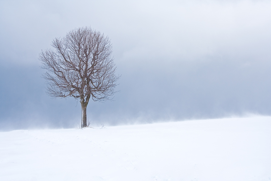 Schneefegen