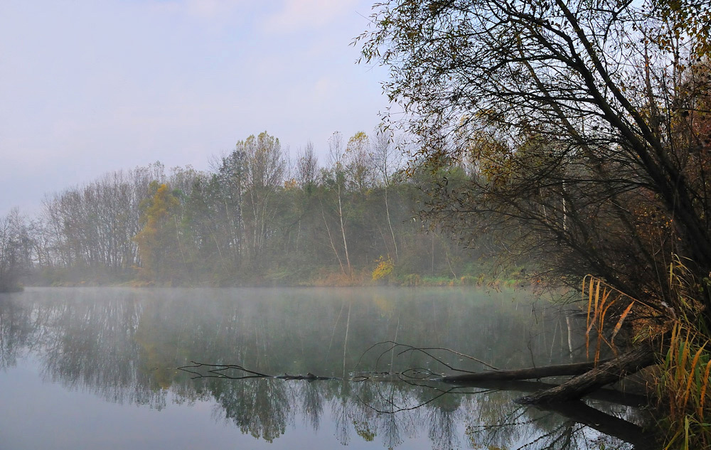 Aulandschaft am Morgen