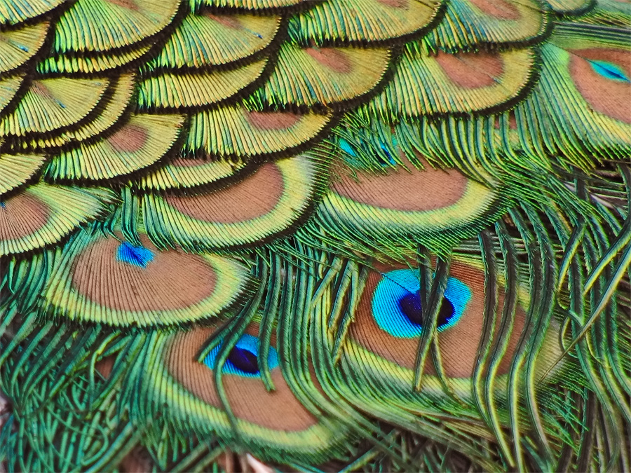 ~Eyes~
