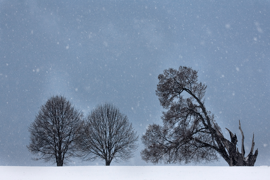 Der erste Schnee
