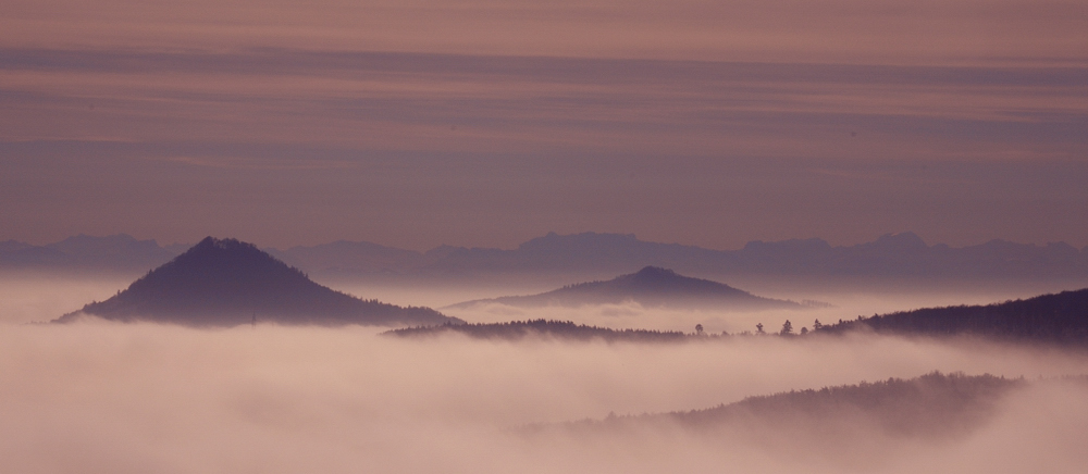 Hegau Blick