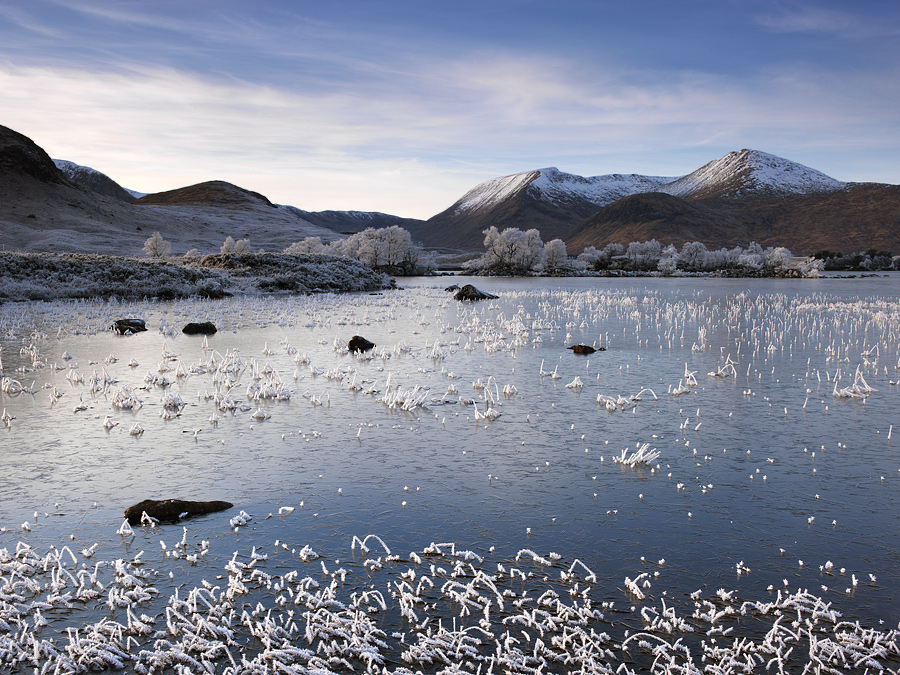 Rannoch Moor