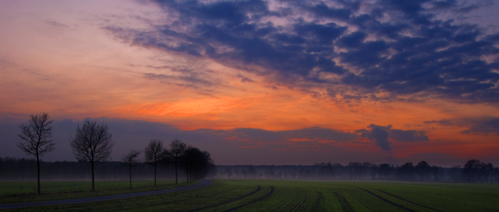 Nebel kommt auf