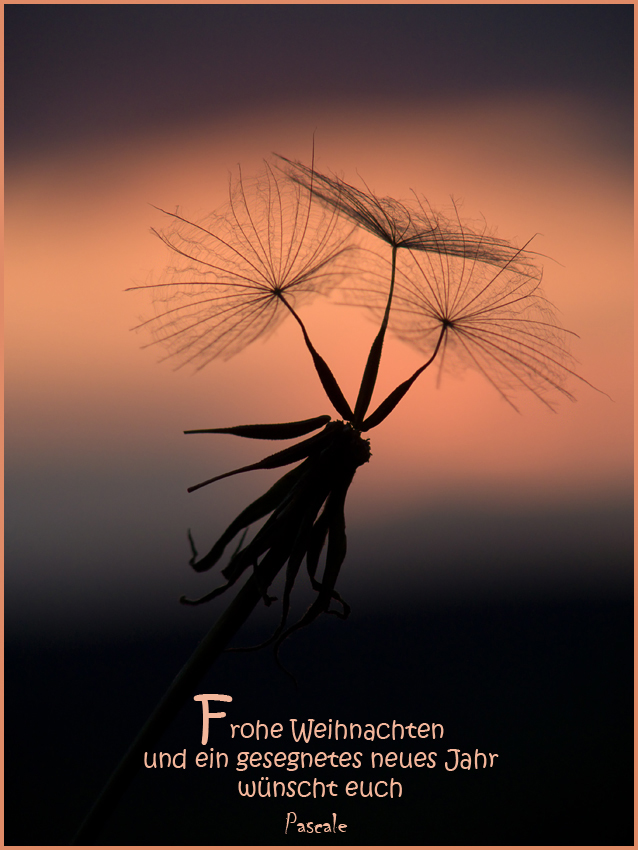 Licht in der Dunkelheit