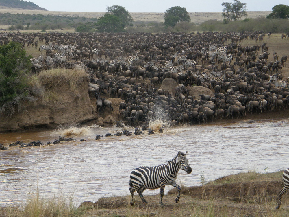 Mara River