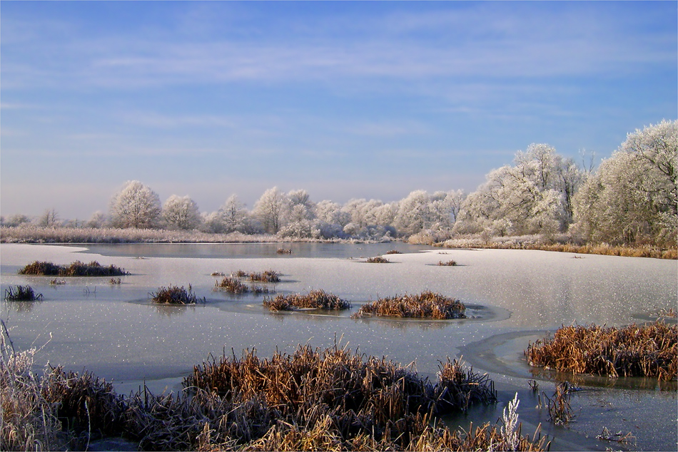 Natur im Winterschlaf