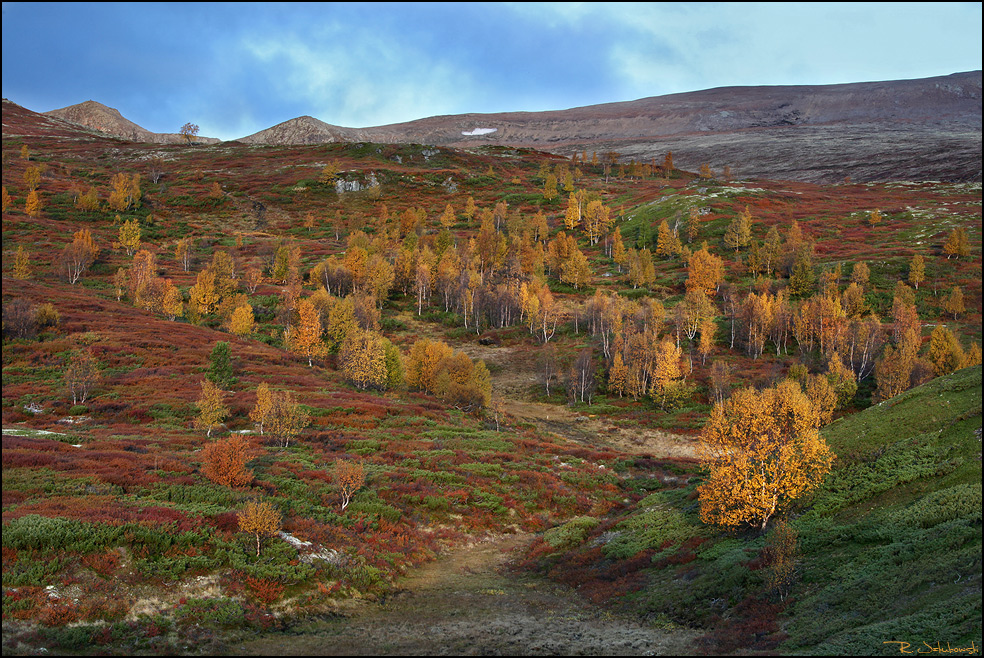 Grimmsdalen