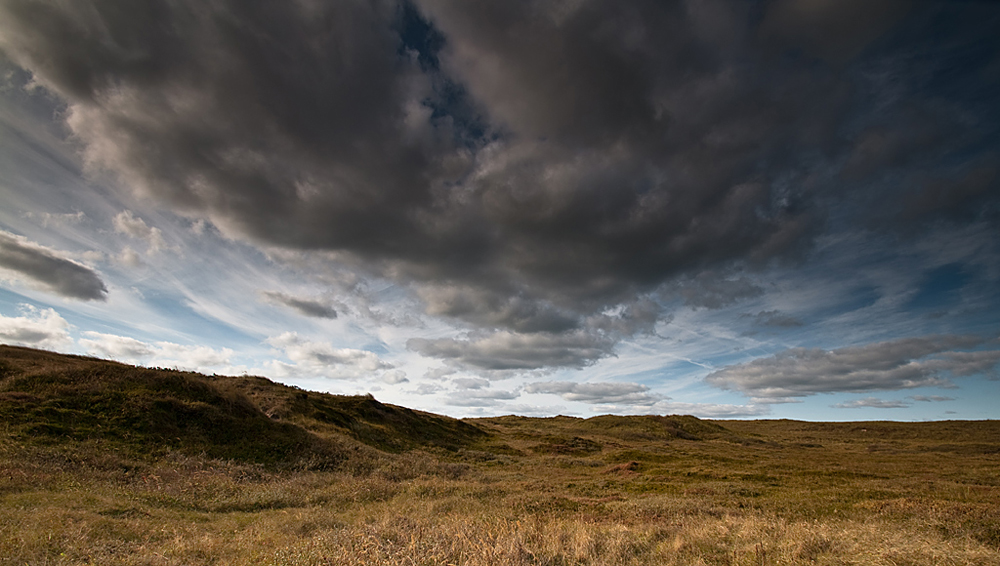 Dünen in Holland