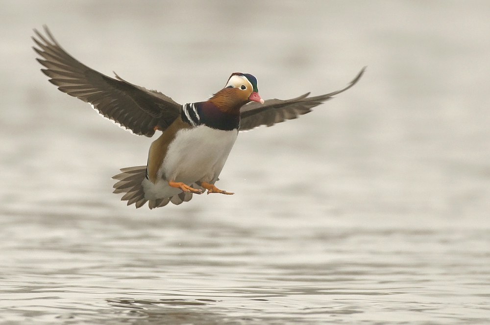 Landeanflug!