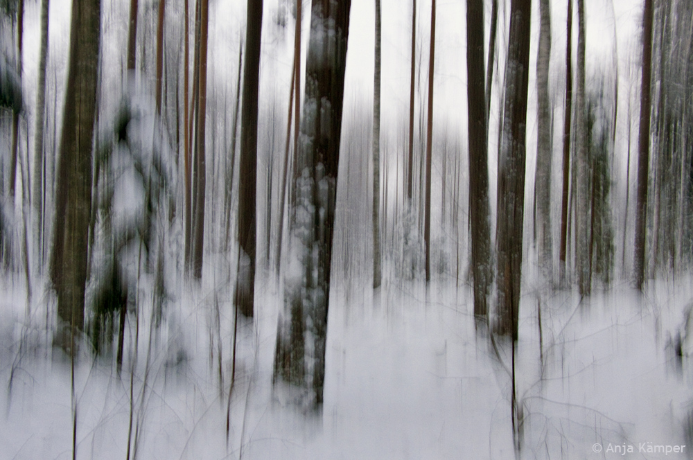 ...Winterwald #2...