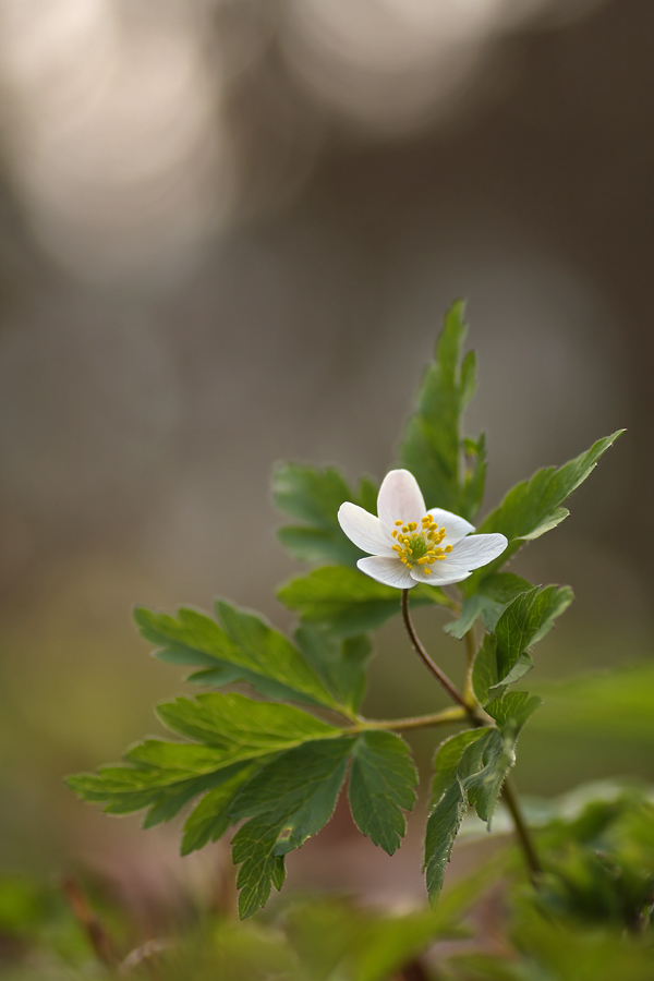 Mit Schwung in den Frühling!