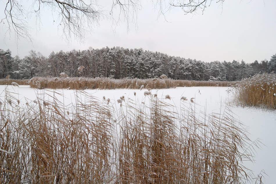 - 14 °C