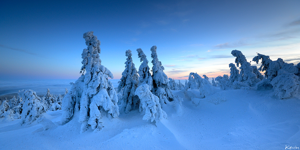 Schneegeister