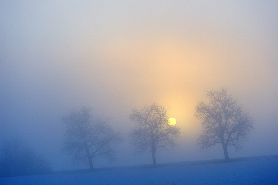 ~ Sonne und Nebel ~