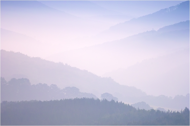 Dunst im Wienerwald