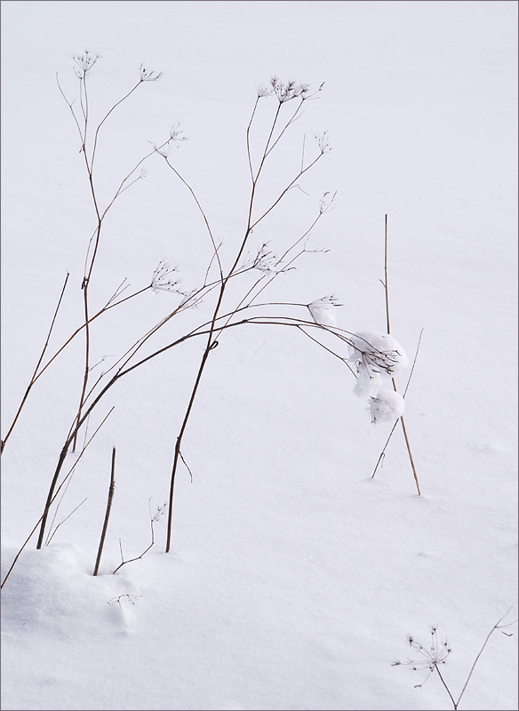 ~ Winter ~
