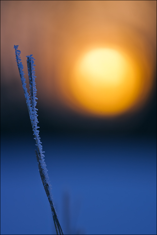 Sonne auf Schnee
