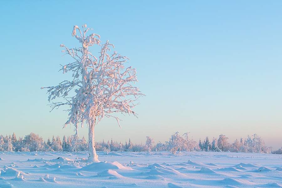 Kalte Winterfarben