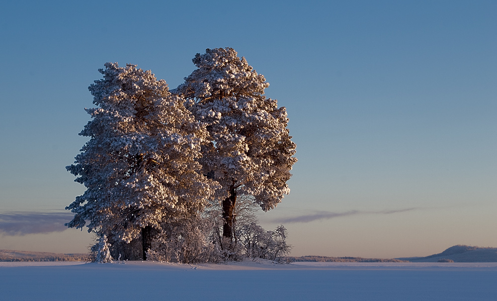 Lappland 2009