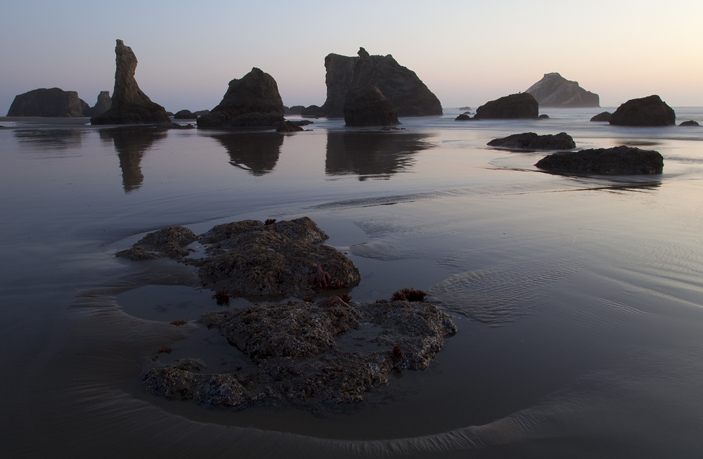 Tidepool