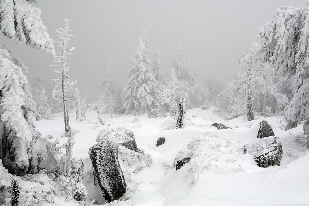 Winter auf dem Brocken