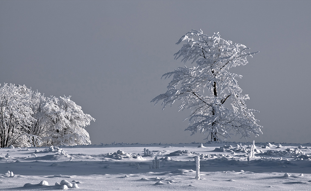 Winter auf dem Kahlen Asten