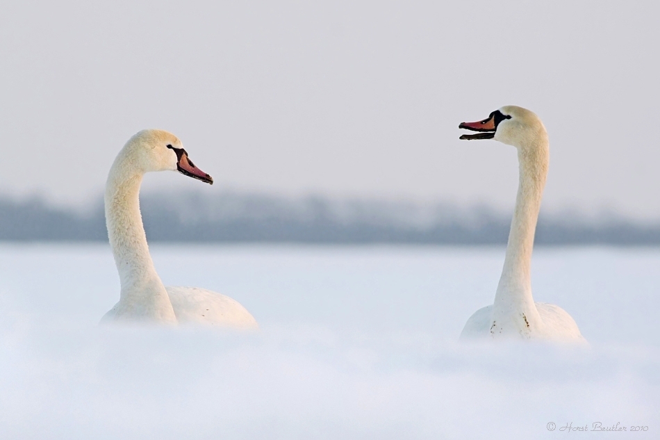 Smalltalk im Schnee