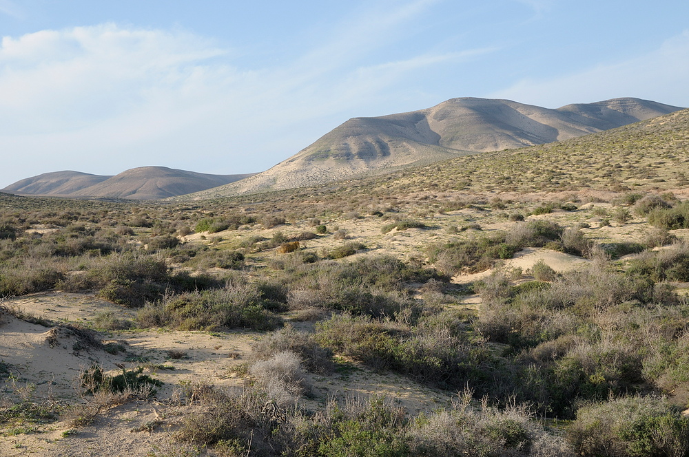 Fuerteventura I