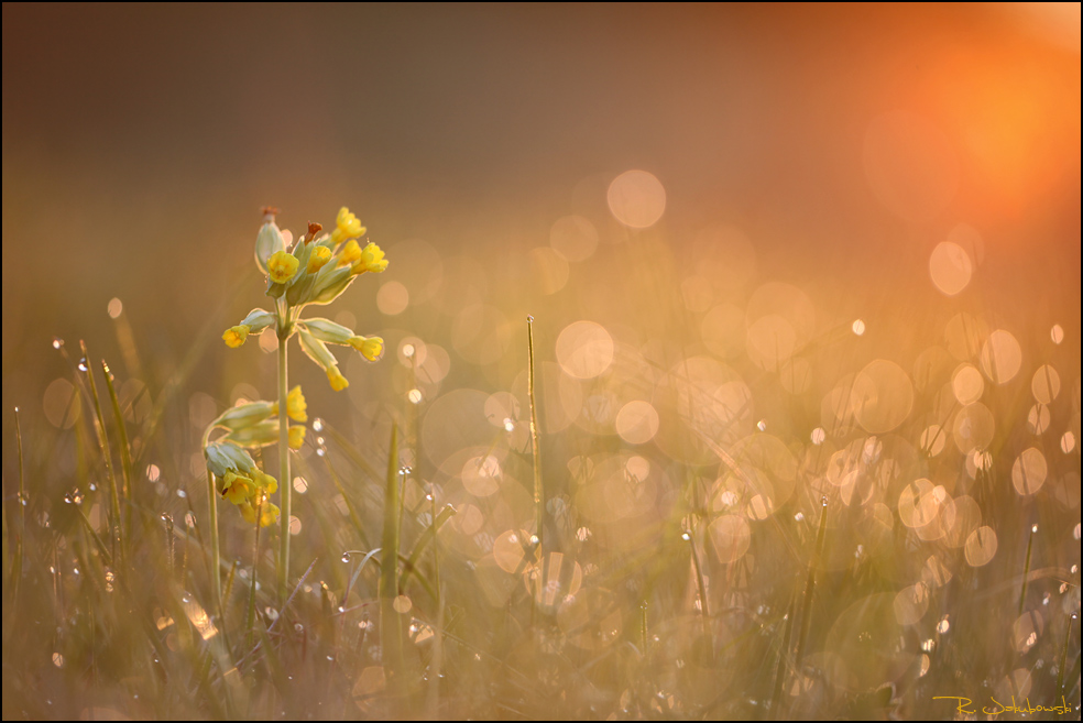 Sonnenaufgang