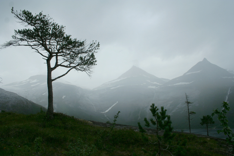 efjordbottn i norland