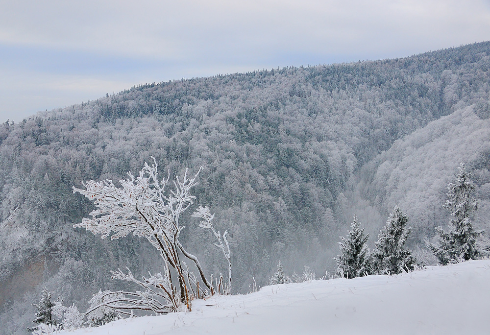 Ein letztes mal " Winter"