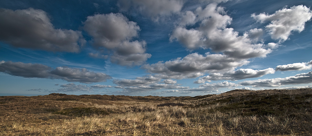 Dünen in Holland