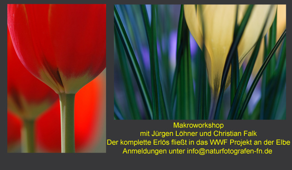 Workshop für den Naturschutz