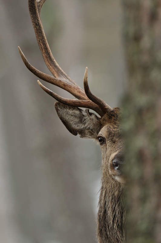 I can see you!!!