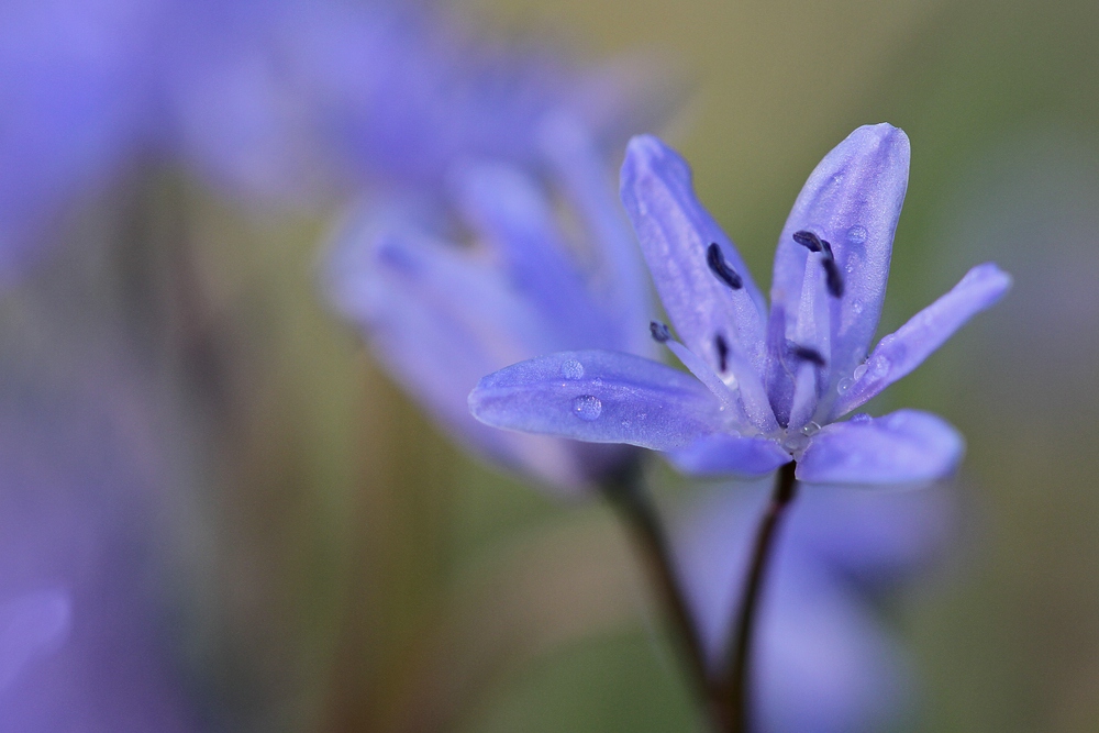 Immer mehr Farbe...