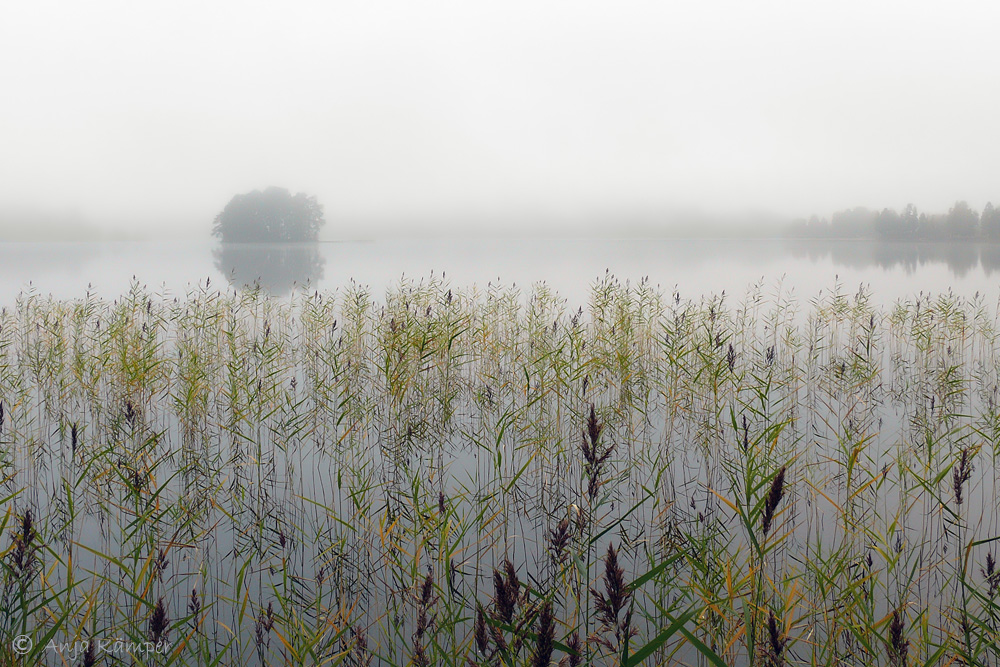 ...Stille... #2