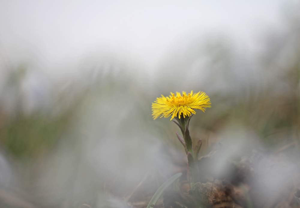 In den Wolken schweben