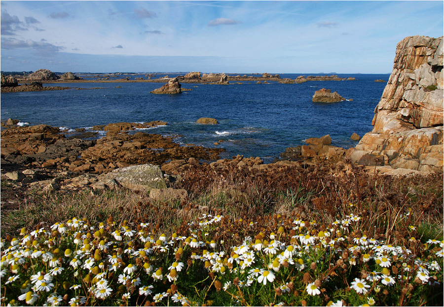 ~ Bretagne 2009 ~